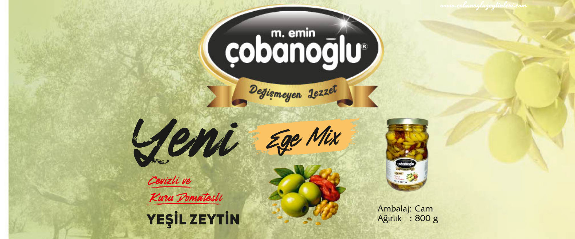 akhisar zeytin